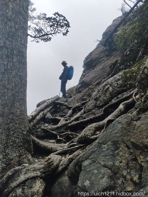 玉山西峰 - 第12張圖 玉山西峰