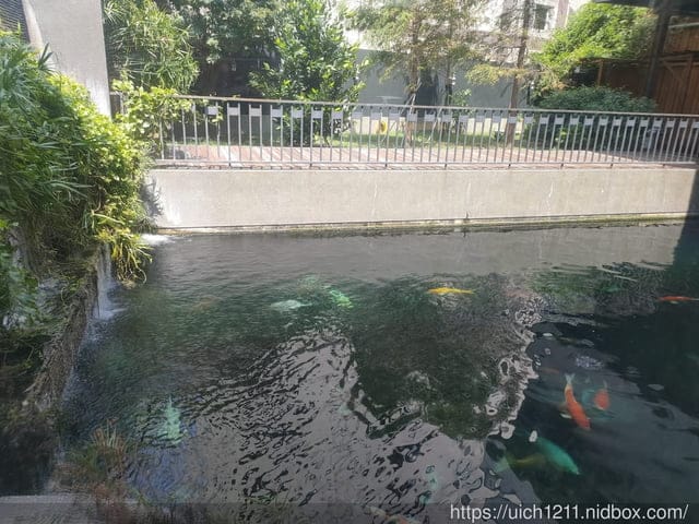 台南之旅 - 第56張圖 台南之旅