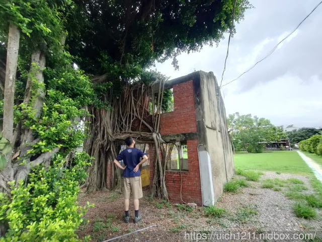 台南之旅 - 第28張圖 台南之旅