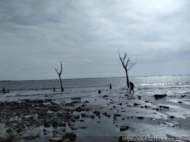 東石壽島