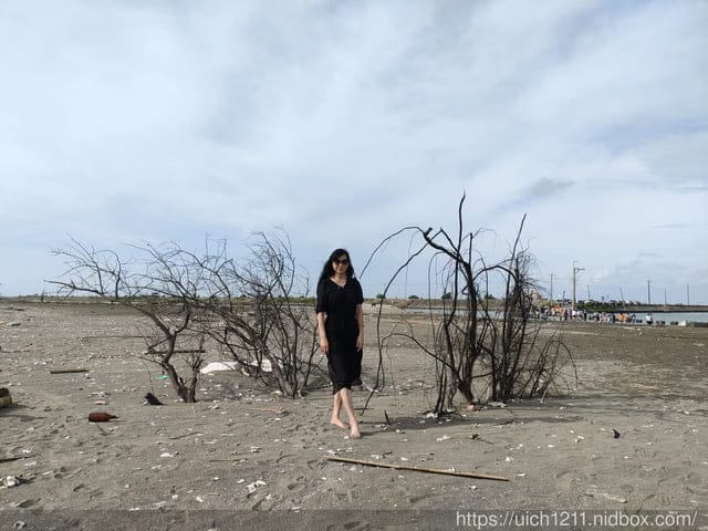 東石壽島