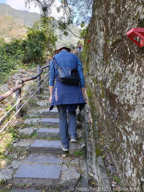 谷關爬山之旅 - 第29張圖 谷關爬山之旅