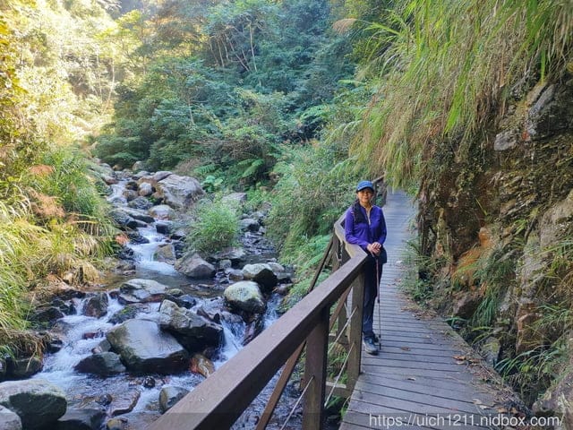 谷關爬山之旅 - 第22張圖 谷關爬山之旅