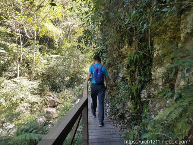 谷關爬山之旅 - 第15張圖 谷關爬山之旅