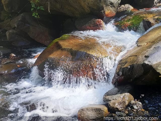 谷關爬山之旅 - 第17張圖 谷關爬山之旅