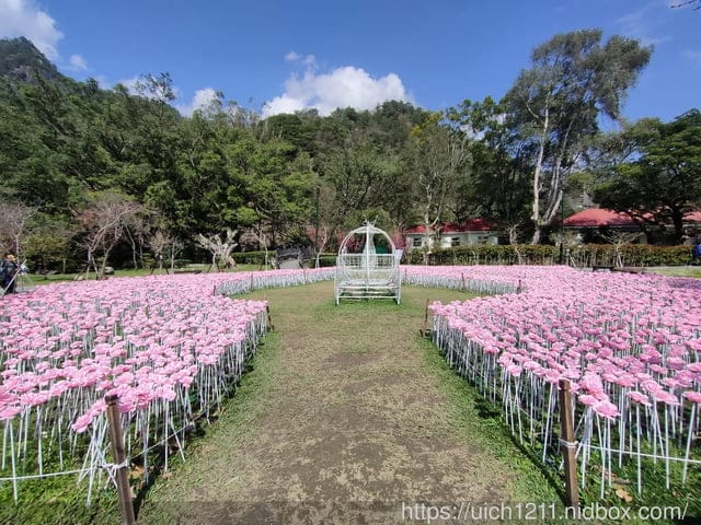谷關爬山之旅 - 第44張圖 谷關爬山之旅