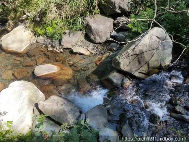 谷關爬山之旅 - 第16張圖 谷關爬山之旅