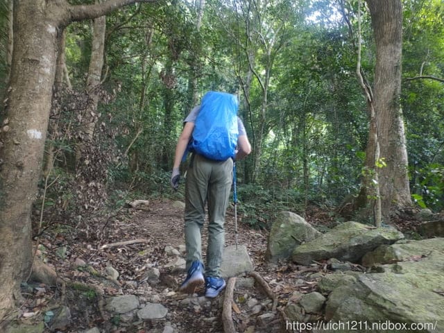 谷關爬山之旅 - 第31張圖 谷關爬山之旅