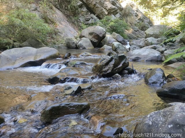 谷關爬山之旅 - 第18張圖 谷關爬山之旅