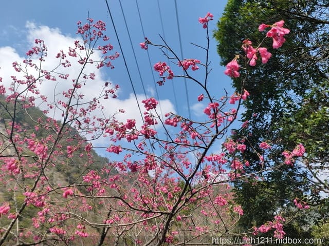谷關爬山之旅 - 第28張圖 谷關爬山之旅