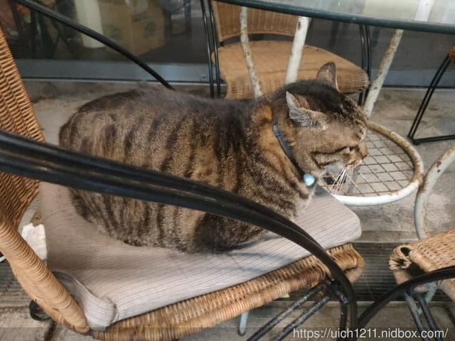 好客樓文創園區與湖口老街 - 第32張圖 好客樓文創園區與湖口老街