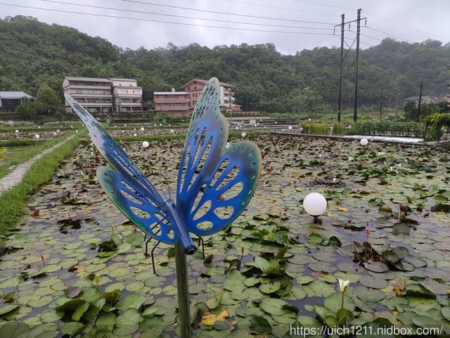 雙溪之旅