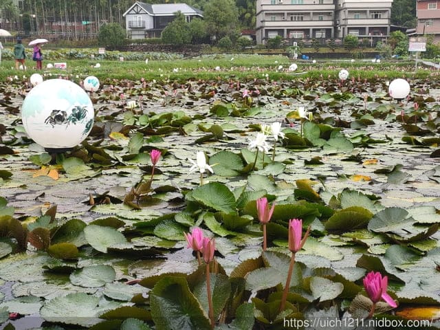 雙溪之旅
