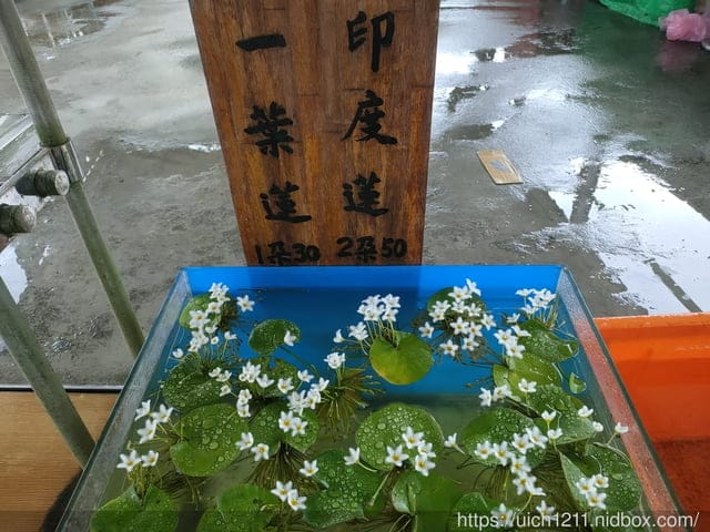 雙溪之旅