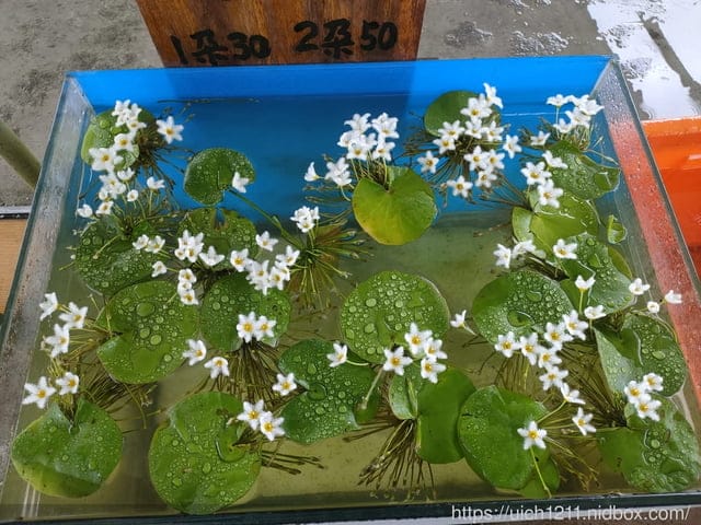 雙溪之旅
