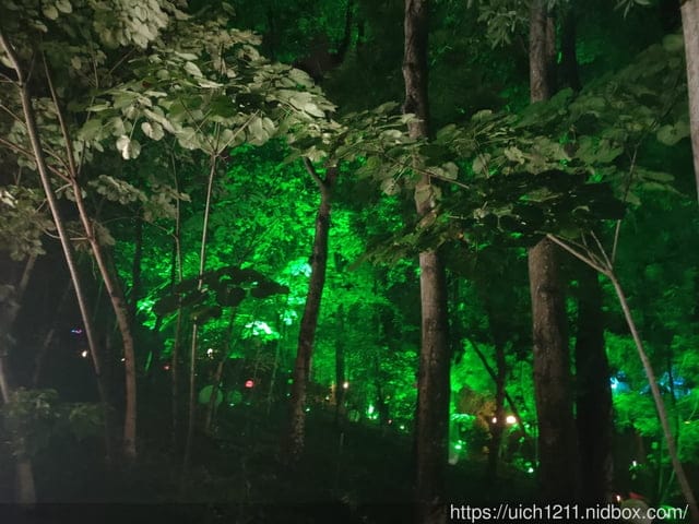西湖渡假村 - 第26張圖 西湖渡假村