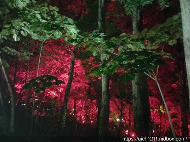 西湖渡假村 - 第25張圖 西湖渡假村