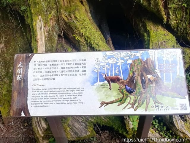 阿里山賓館 - 第21張圖 阿里山賓館