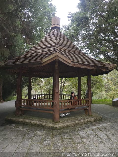 阿里山賓館 - 第26張圖 阿里山賓館