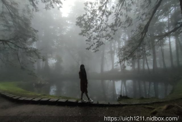 阿里山賓館 - 第14張圖 阿里山賓館