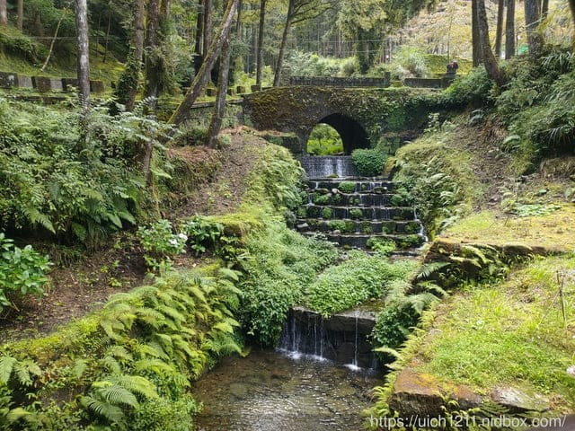 阿里山賓館 - 第52張圖 阿里山賓館
