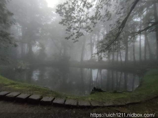 阿里山賓館 - 第32張圖 阿里山賓館