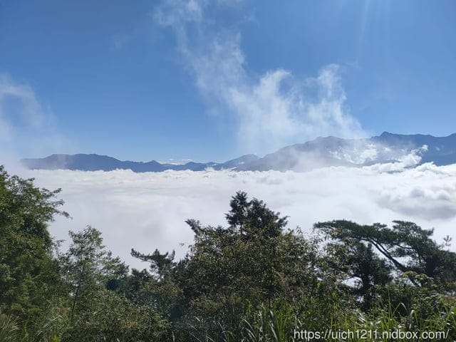 阿里山賓館 - 第49張圖 阿里山賓館