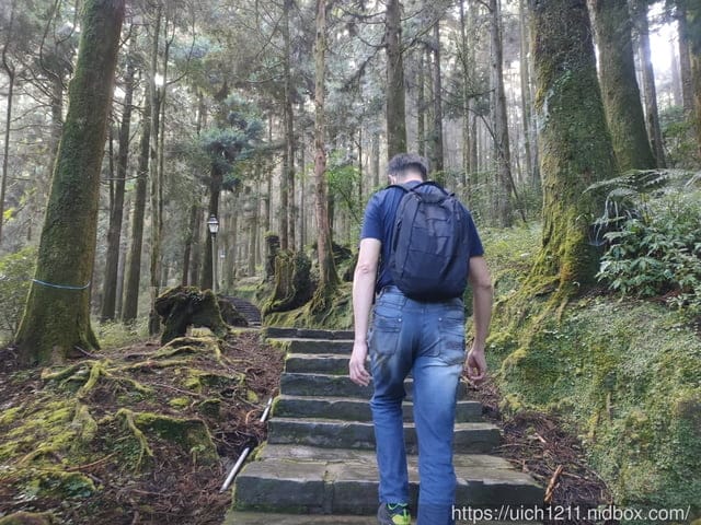 阿里山賓館 - 第44張圖 阿里山賓館