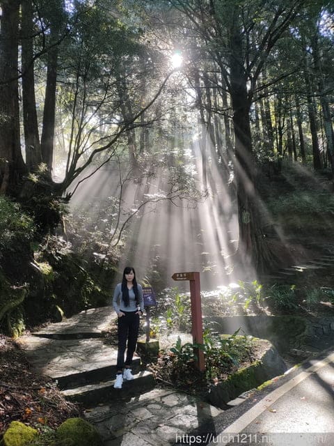 阿里山賓館 - 第47張圖 阿里山賓館