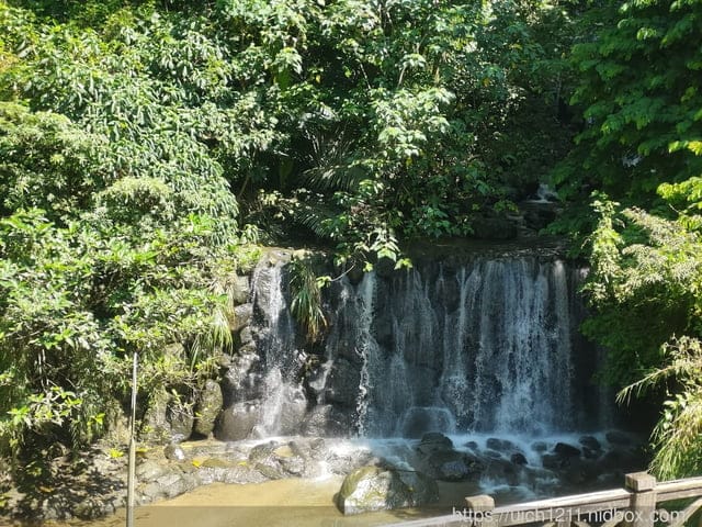 阿里山賓館 - 第16張圖 阿里山賓館