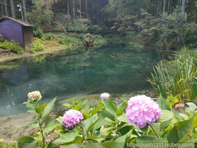 阿里山賓館 - 第53張圖 阿里山賓館