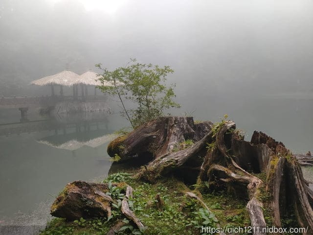 阿里山賓館 - 第34張圖 阿里山賓館