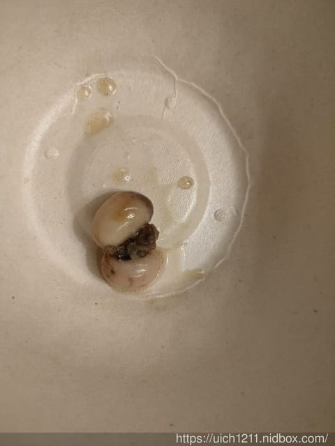 關子嶺統茂溫泉會館