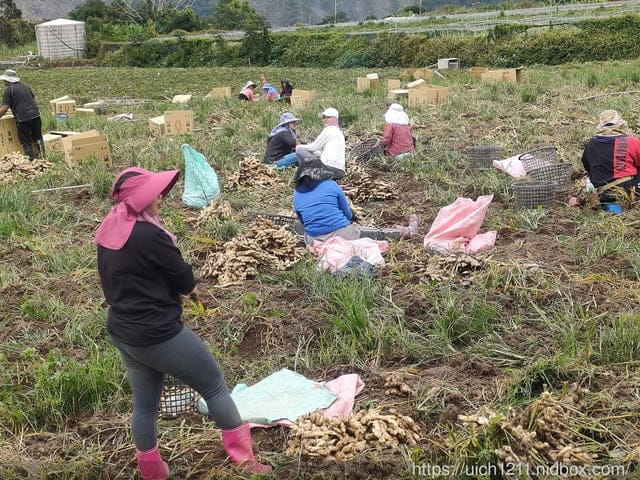 二坪山水沙漣古道 - 第20張圖 二坪山水沙漣古道