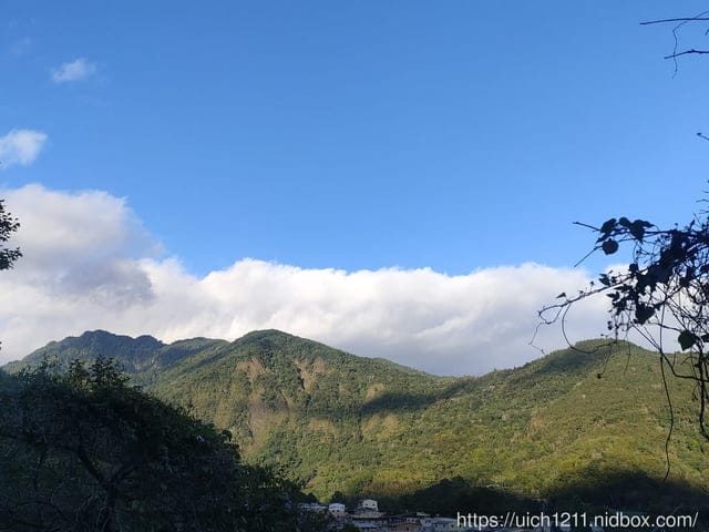 羅娜部落 - 第31張圖 羅娜部落