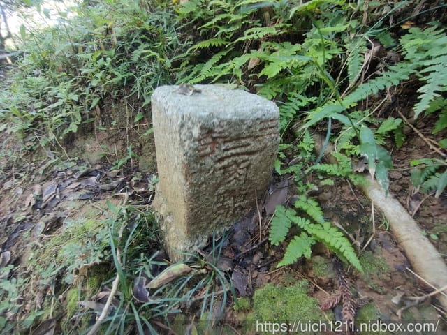 金山之旅 - 第25張圖 金山之旅
