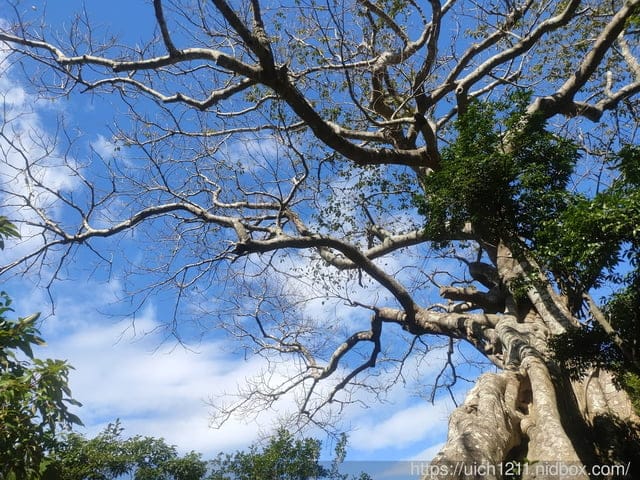屏東里龍山及隨遊