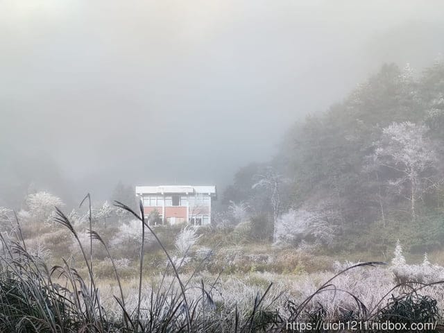 梨山燈光節 - 第11張圖 梨山燈光節