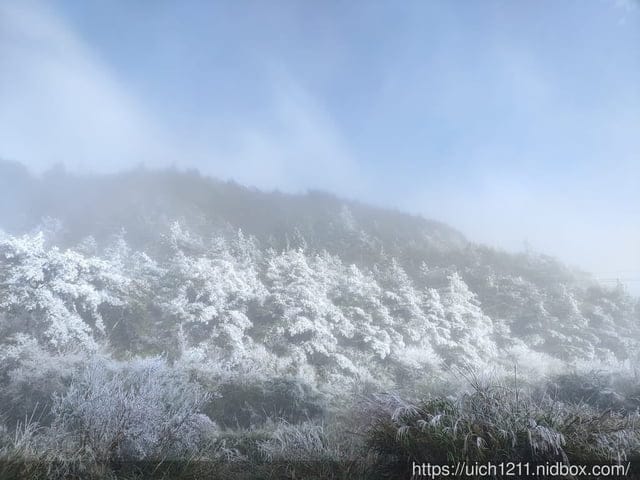 梨山燈光節 - 第8張圖 梨山燈光節