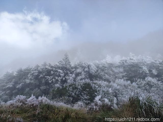 梨山燈光節 - 第5張圖 梨山燈光節