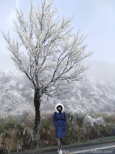 梨山燈光節 - 第9張圖 梨山燈光節