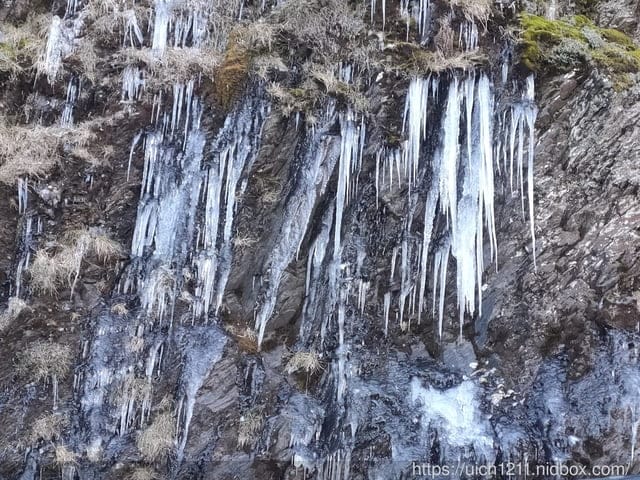 梨山燈光節 - 第56張圖 梨山燈光節