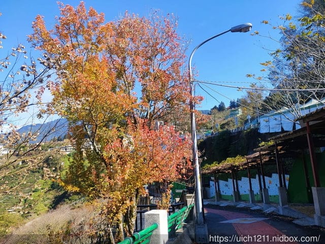 梨山燈光節 - 第25張圖 梨山燈光節