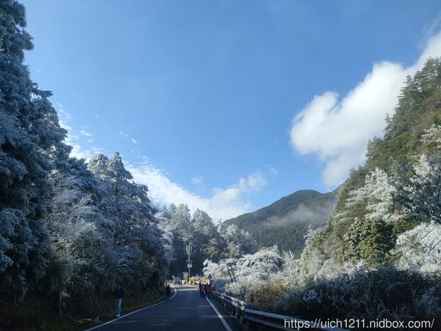 梨山燈光節 - 第4張圖 梨山燈光節