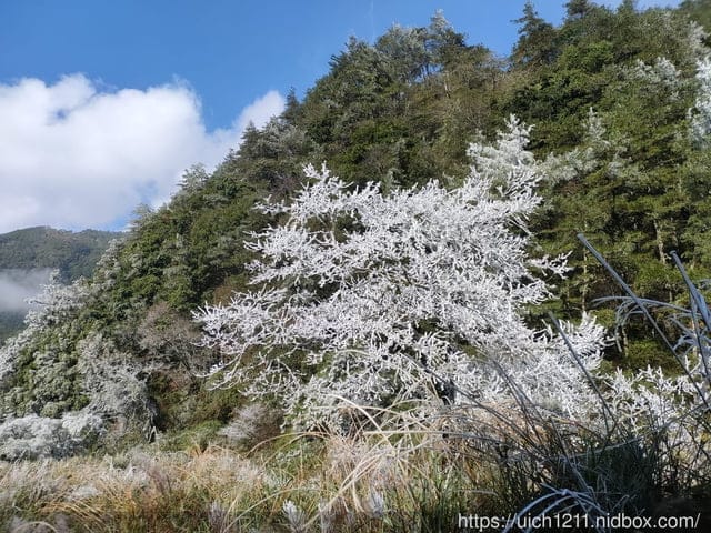 梨山燈光節 - 第6張圖 梨山燈光節