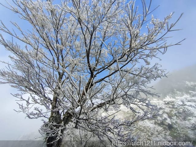 梨山燈光節 - 第10張圖 梨山燈光節