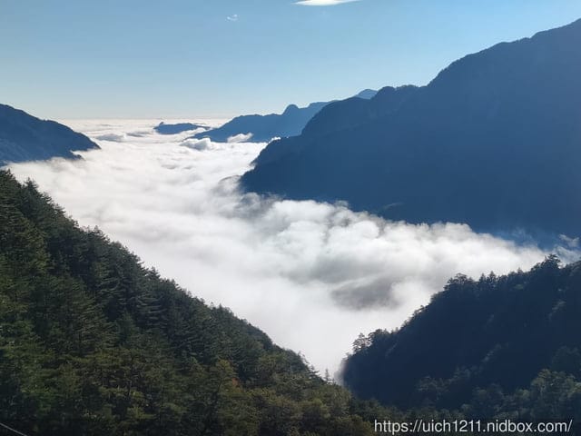 梨山燈光節 - 第54張圖 梨山燈光節