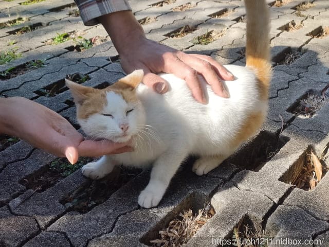 兩天一夜屏東遊 - 第54張圖 兩天一夜屏東遊