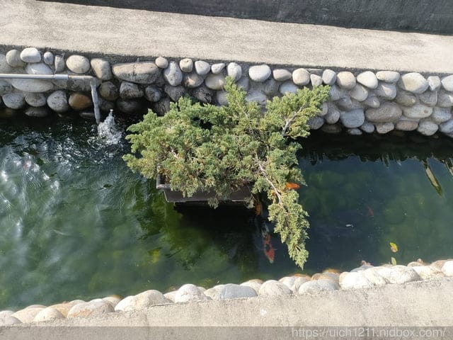 過年行程1