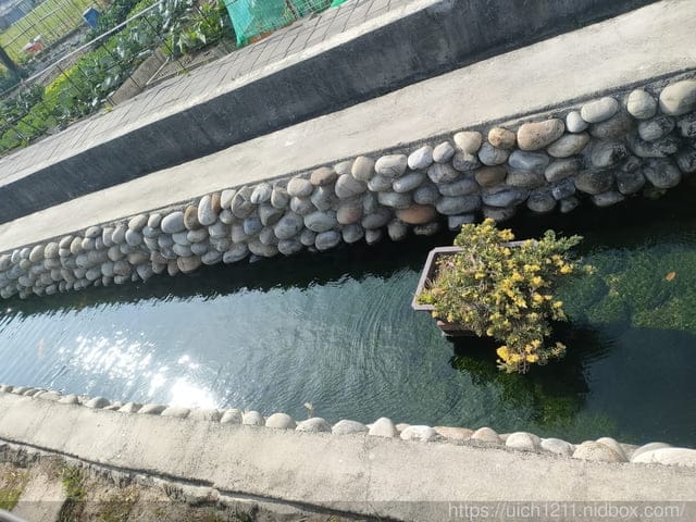 過年行程1